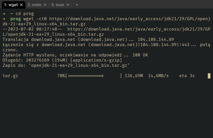/posts/2023-07-02_instalacja_javy21/wget.png