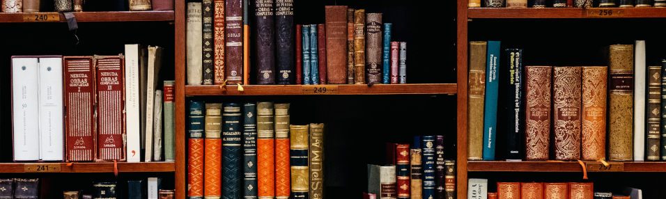 /posts/serie/series.png /posts/serie/series.png